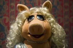 Miss Piggy Puppet Smithsonian Institution