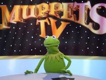 TF1-MuppetsTV-PhotoGallery-12-Kermit