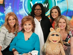TheView2016