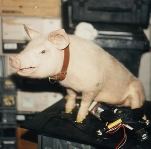 Animatronic Babe puppeteered by the Henson Performance Control System