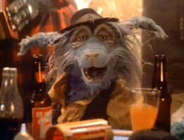 Howlin' Jay