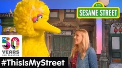 Sesame_Street_Memory_Busy_Phillips