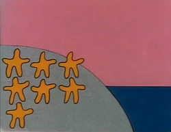 7starfish