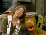 Judy Collins: "Horse Sense"