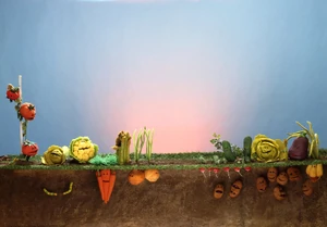 MuppetMag3-GardenPhoto