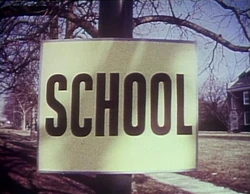 Schoolsignspin