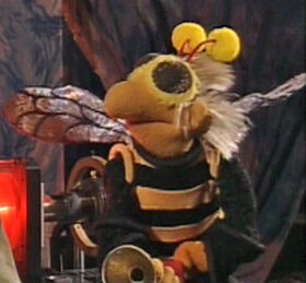 Bee Muppets Tonight