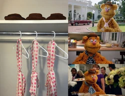Fozzie's attire