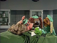 TMS.410.VetsHospital