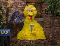 T is for tool (First: Episode 3801)