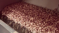 FoodieTruck-Peanuts02