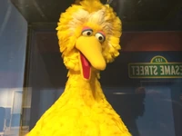 Big Bird
