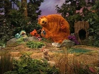 FriendsforLife.jpg (43 KB)