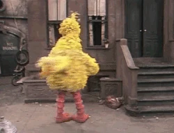Spinney is Big Bird
