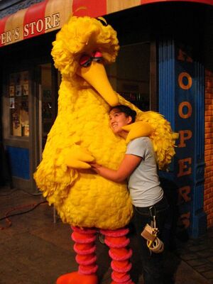 Big Bird Body Leggings