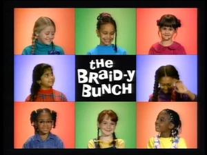 Braid-yBunch