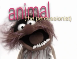 Muppetism Animal percussionist