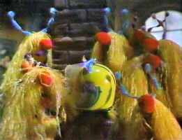 The Raggmopps in "Space Cowboys"