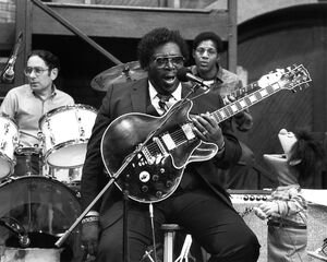 BB King Anything Muppet