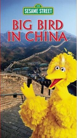BigBirdChinaVHSSony.jpg