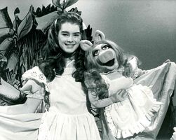 Brooke Shields06