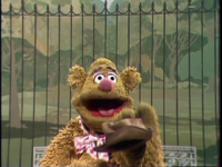 Fozzie's opening joke