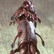 Jack the Ancient.jpg (63 KB)