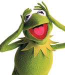 Kermit exasperated