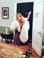 Piggy guide party.jpg (671 KB)