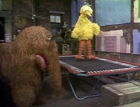 On a trampoline Episode 1828