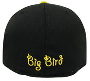 Bigface-cap-bigbird2