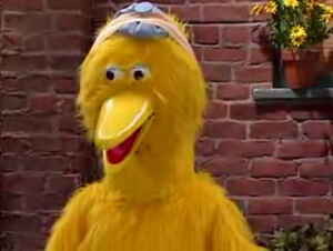 MADTVBigBird