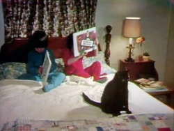 N words and Sesame books