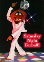 SaturdayNightFurball.jpg (510 KB) ...all the right poses