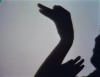 Swan (First: Episode 1118)