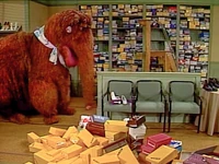 Episode 2203After an indecisive Maria finally picks a pair of shoes at Edith's store, Mrs. Snuffleupagus is the next customer. Her shoe size is 423 quadruple E.