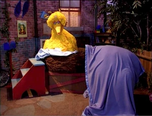 Big Bird has a sleepover with an invisible Snuffy.