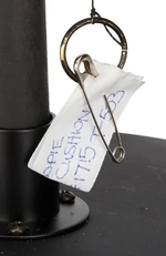 Auction-FlyingWhoopie10.jpg (387 KB)