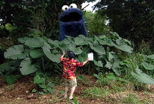 Cookie Monster on Lost 2005