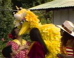 Winona Beamer (Aunty Nona) & Big BirdSesame Street Episode 1091