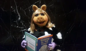 Waiting Is Not Easy Miss Piggy
