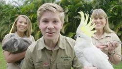 A for Animals (First: Episode 5035)