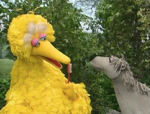 BigBirdBrushing