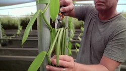 FoodieTruck-Vanilla02