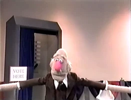 voter on Good Morning America