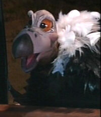 vulture in episode 109