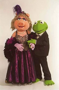 Kermit Piggy Costumess