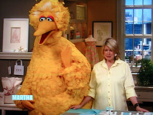 Marthastewart-bigbird