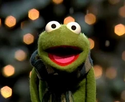 Robin the Frog (2008-2017)