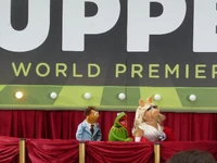 TheMuppets-WorldPremiere-ElCapitan-(2011-11-12)-04.jpg (33 KB)